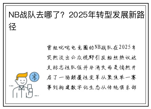 NB战队去哪了？2025年转型发展新路径